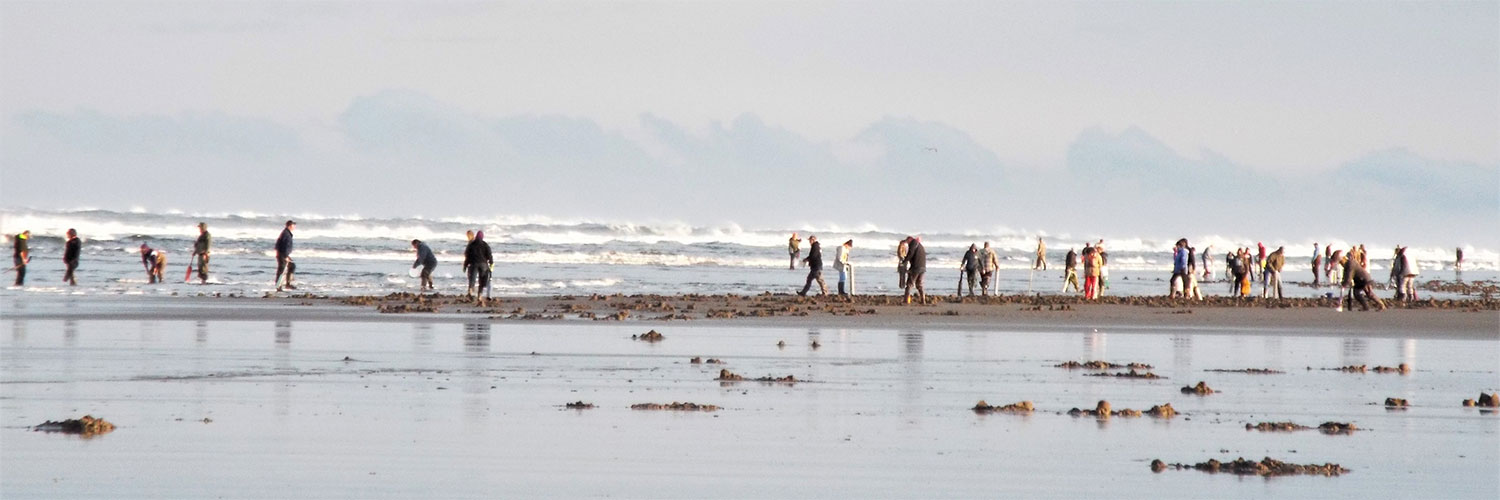 people clamming