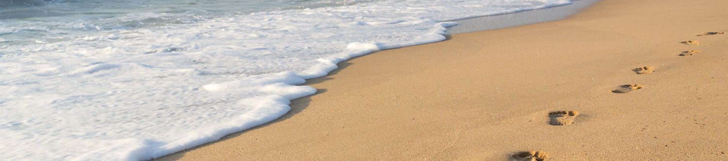 cropped-OPACC-image-footprints-1.jpg