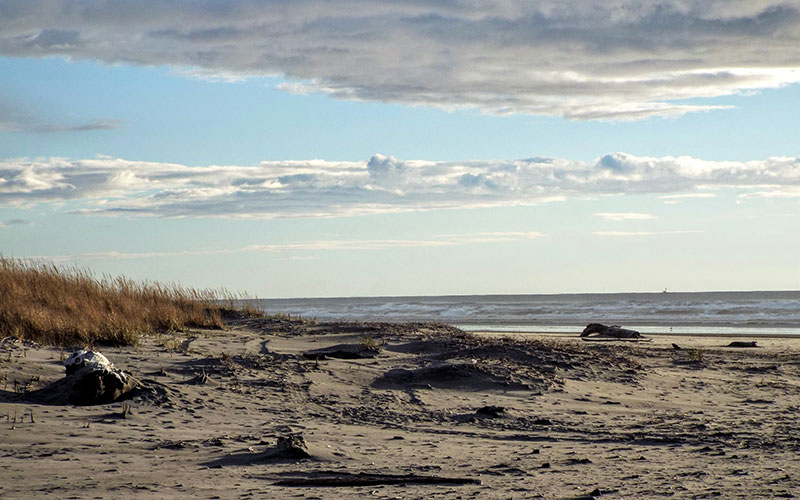 scenic beach photo