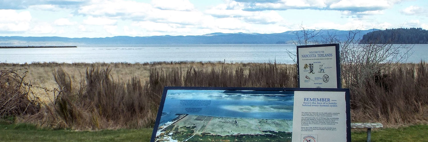 nahcotta coast and nature display