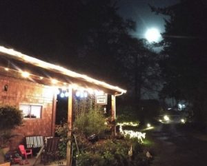 ShaktiCoveMoon (1)