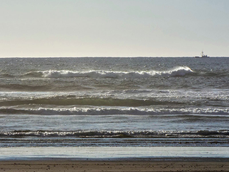 surf