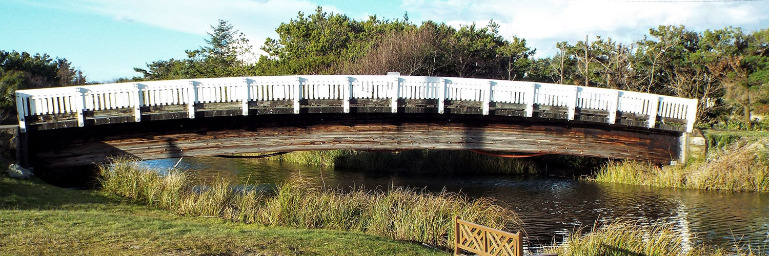 surfside-header