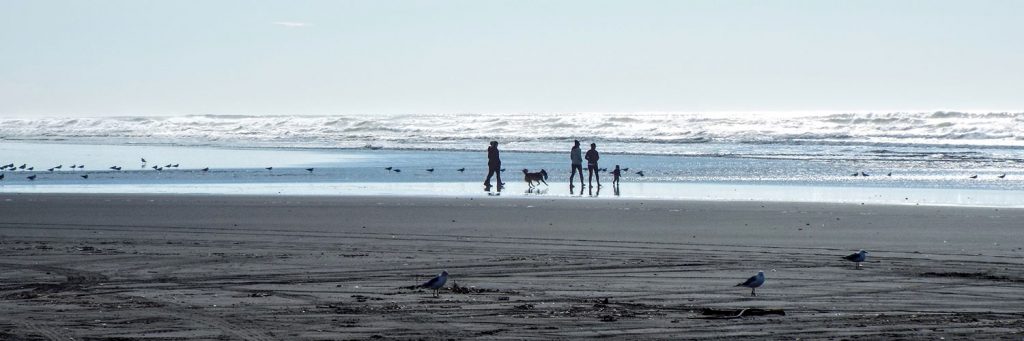 walking dog on ocean beach